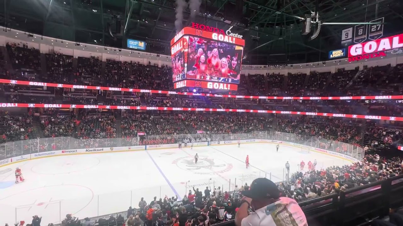 Anaheim Ducks Goal 2025