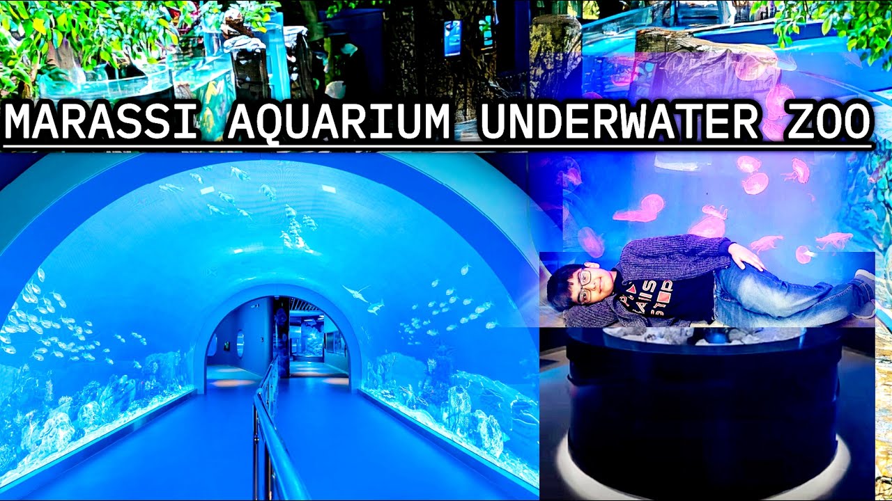 Inside MARASSI Aquarium and Underwater Zoo