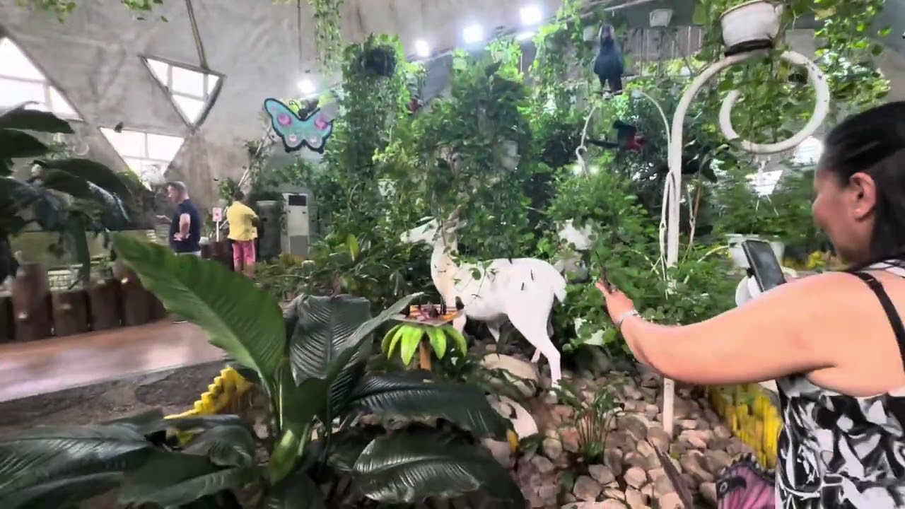 Butterfly Garden Dubai teegang