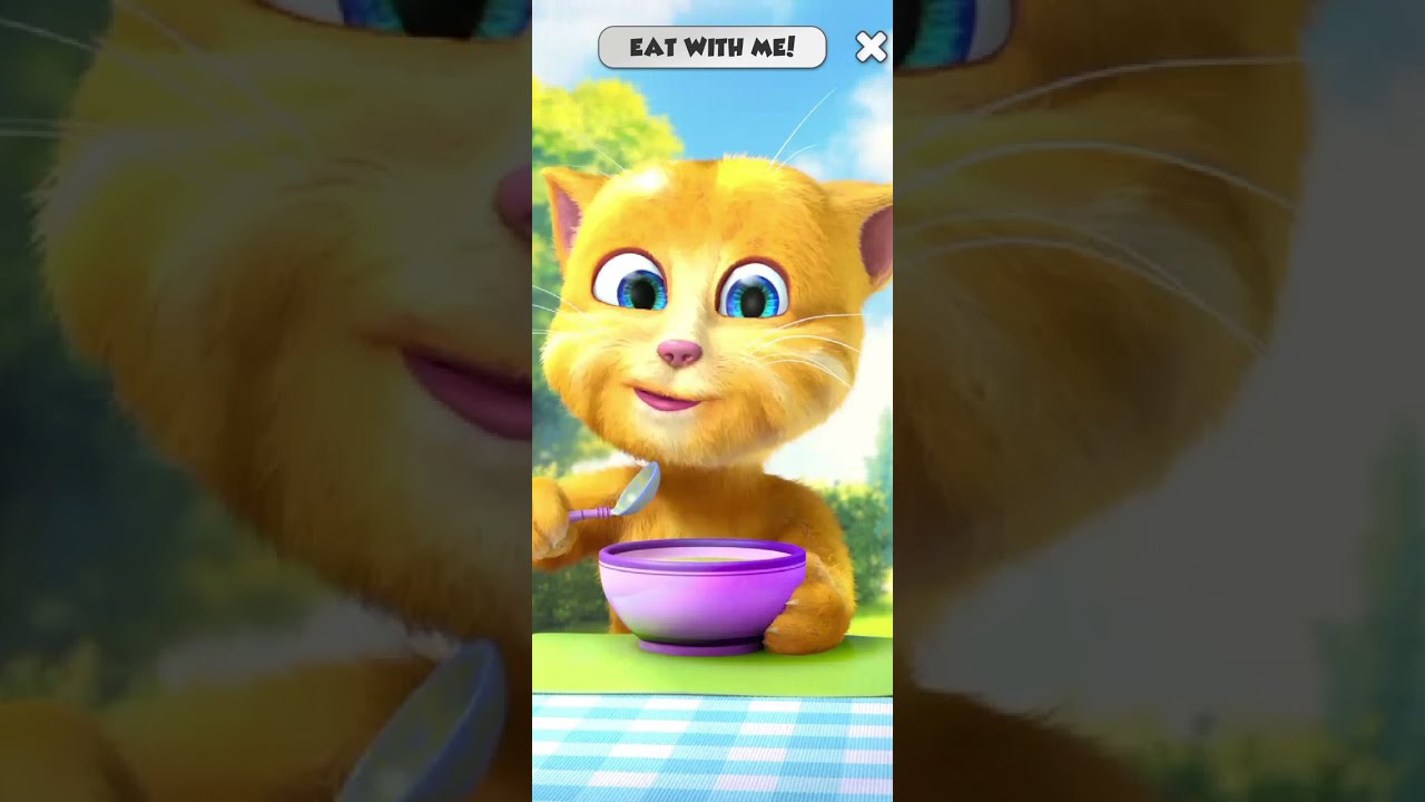 Talking ginger 2 eat with me cat 🐈 video