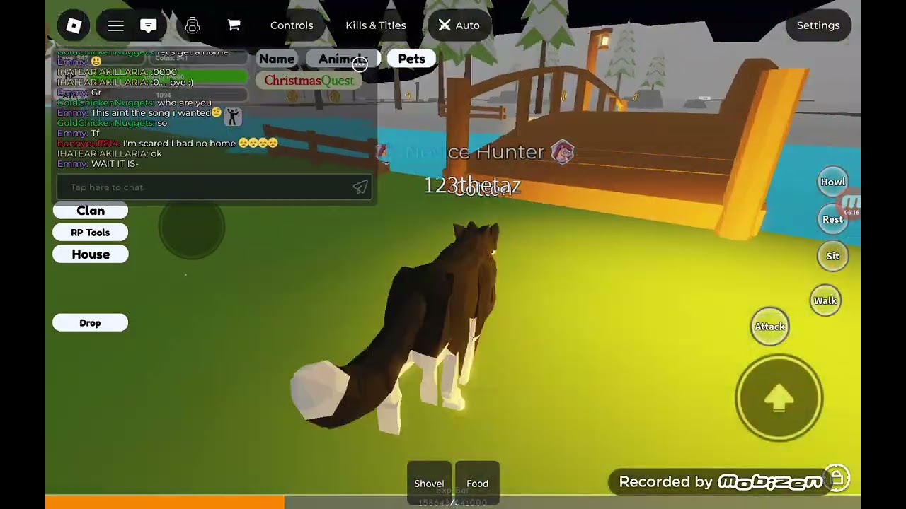 I played  animal simulator with my sister