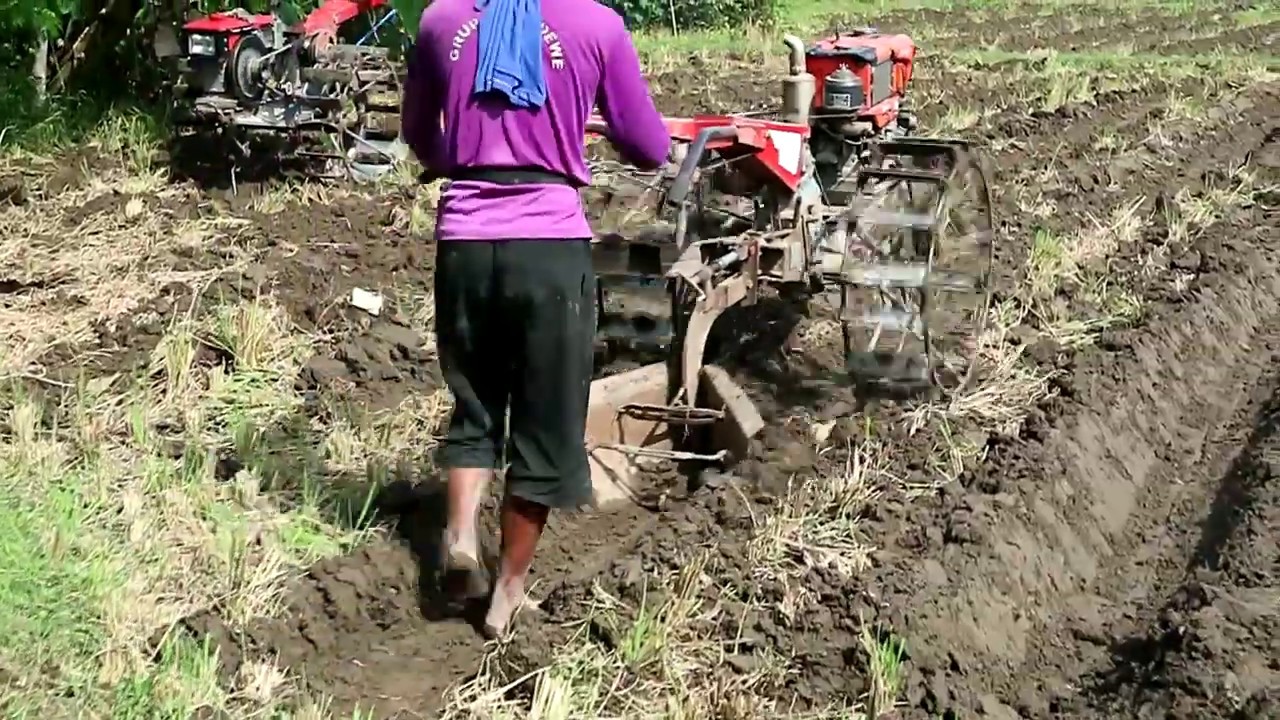 Kubota RD 85 DI vs Yanmar TF 85  membuat bedengan tanaman jagung