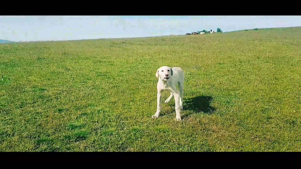 Zhegra Ime