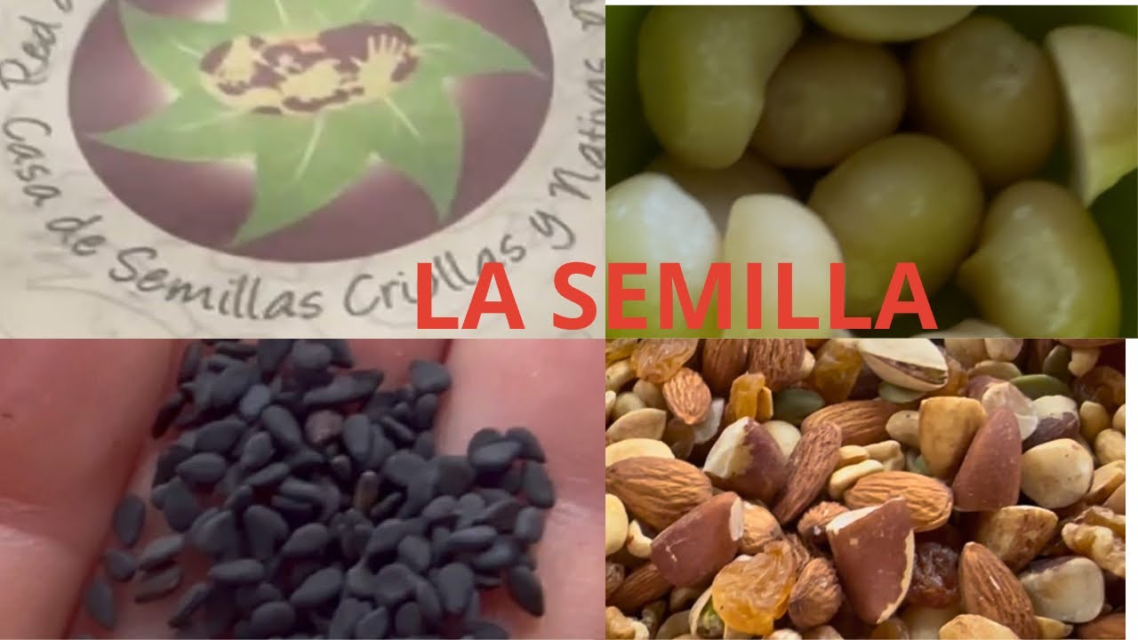 LA SEMILLA