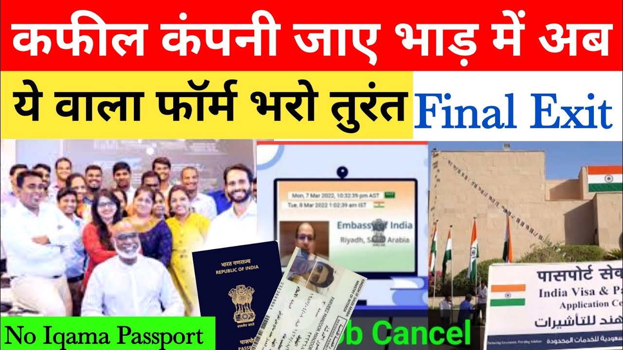 Embassy se direct contact kaise Kare | Bina iqama passport ghar kaise jayen | Rain Bashera#gulfinfo