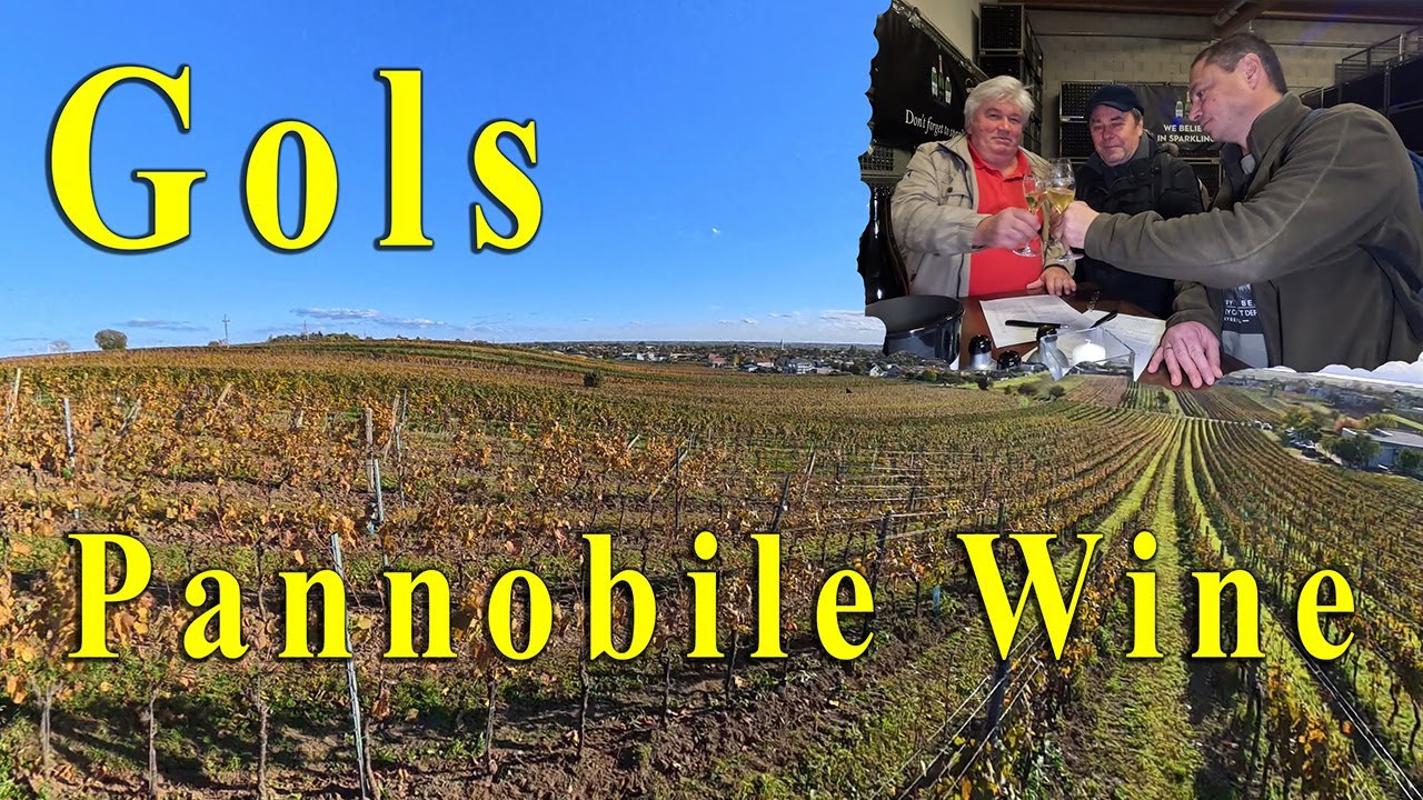 Gols - Pannobile Wine 2025