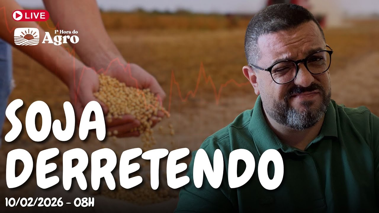 Soja continua DERRETENDO no Brasil - AO VIVO - 10/02/2026