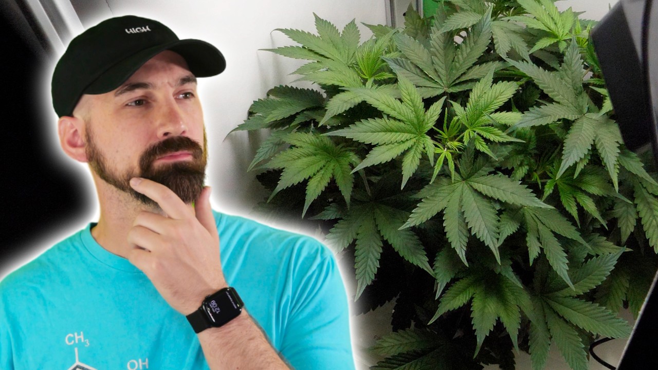 Day 40 in the VGrow DWC &mdash; This Plant Almost Failed!