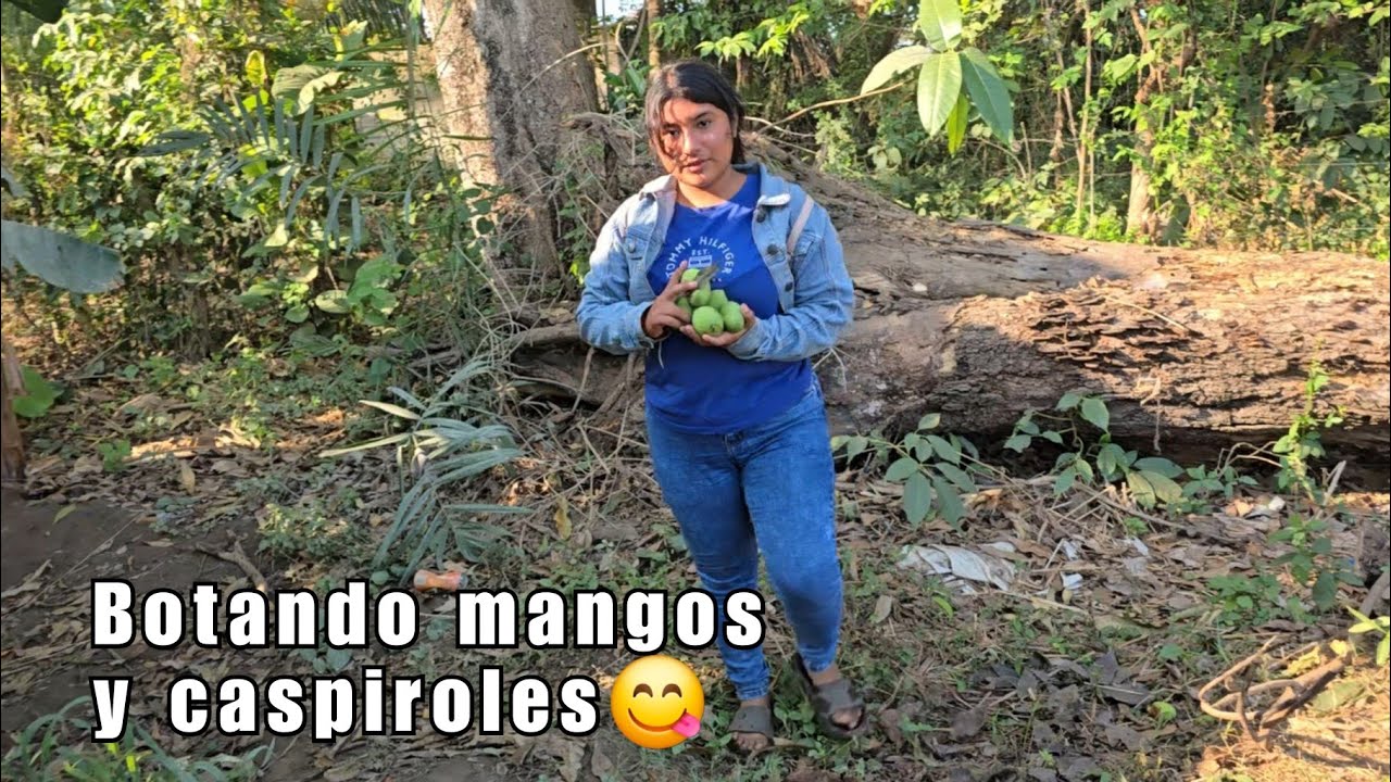 Como se bota los mangos 🥭