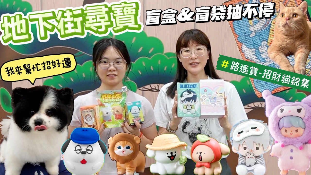 【盒玩開箱 #274】地下街盲抽大集合💗貓福珊迪/藍色監獄/史努比/卓大王 x三麗鷗/線條小狗萌粒/招財貓錦集/三麗鷗小夜燈/名偵探柯南