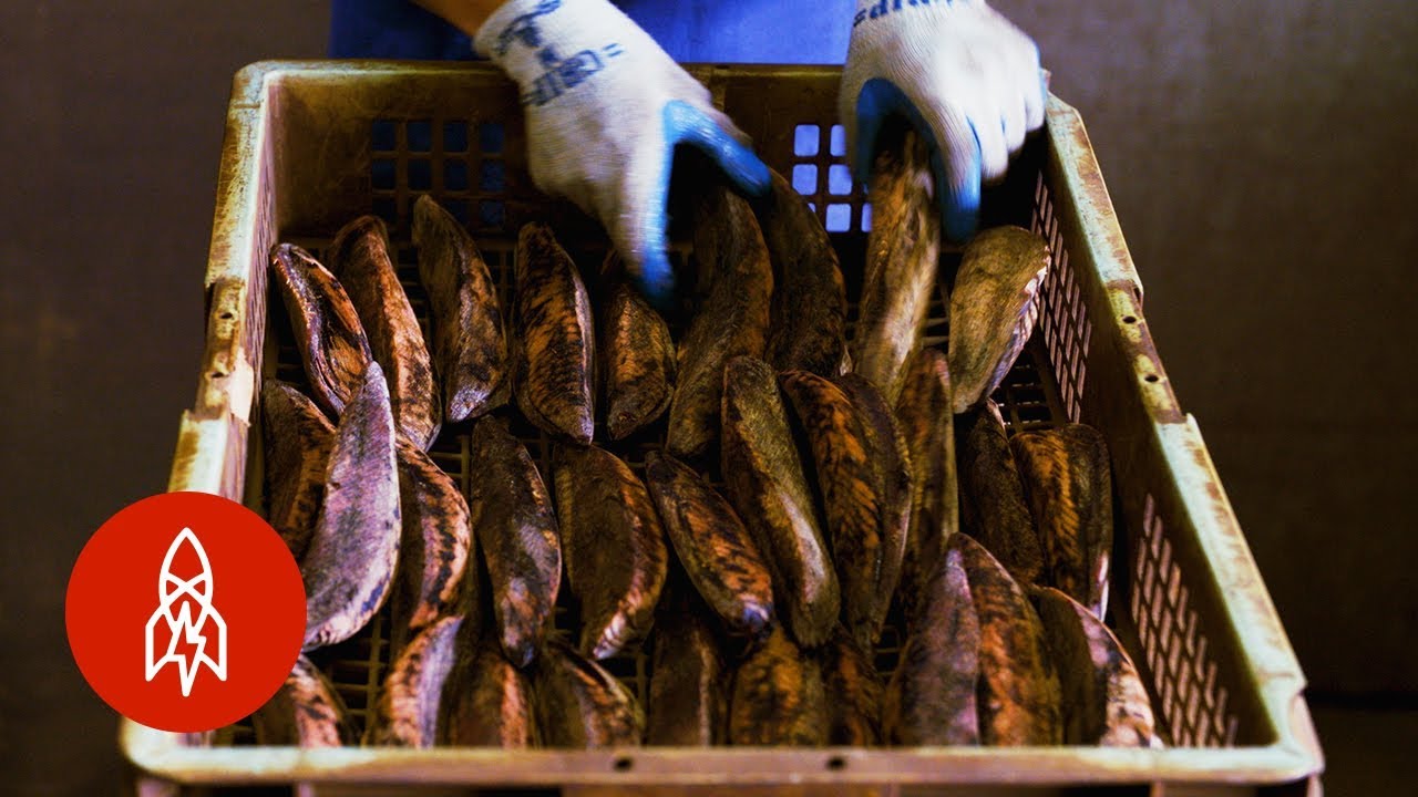 How the Japanese Craft the World&rsquo;s Hardest Food