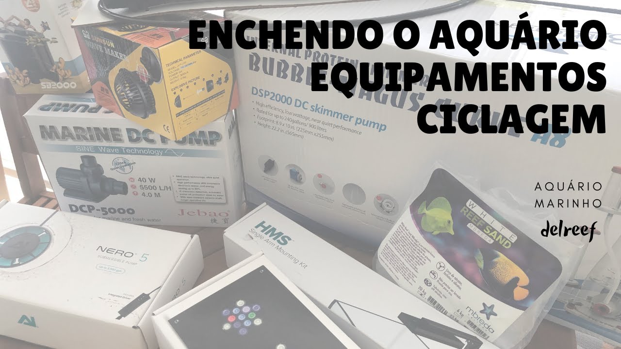 ENCHENDO AQUÁRIO,  CICLAGEM e apresentação dos EQUIPAMENTOS #delreef04
