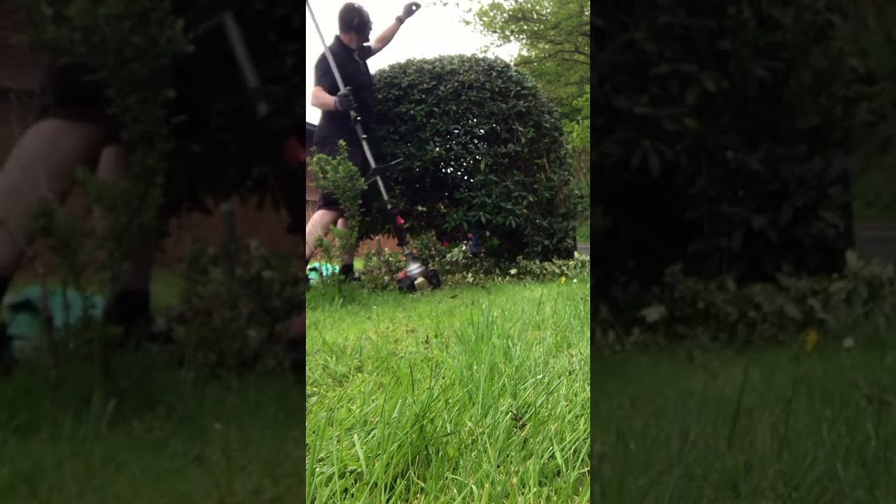 Oddly Satisfying Berberis Ball Trim #Shorts