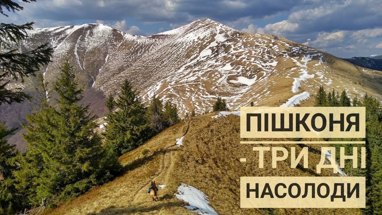 Неймовірна Пішконя, або три дні кайфу! - Частина 1