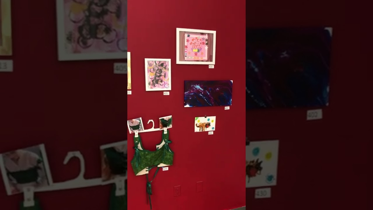 Tour of KIDOOO gallery 2022 at Maryland Art Place: Bearcreek student art
