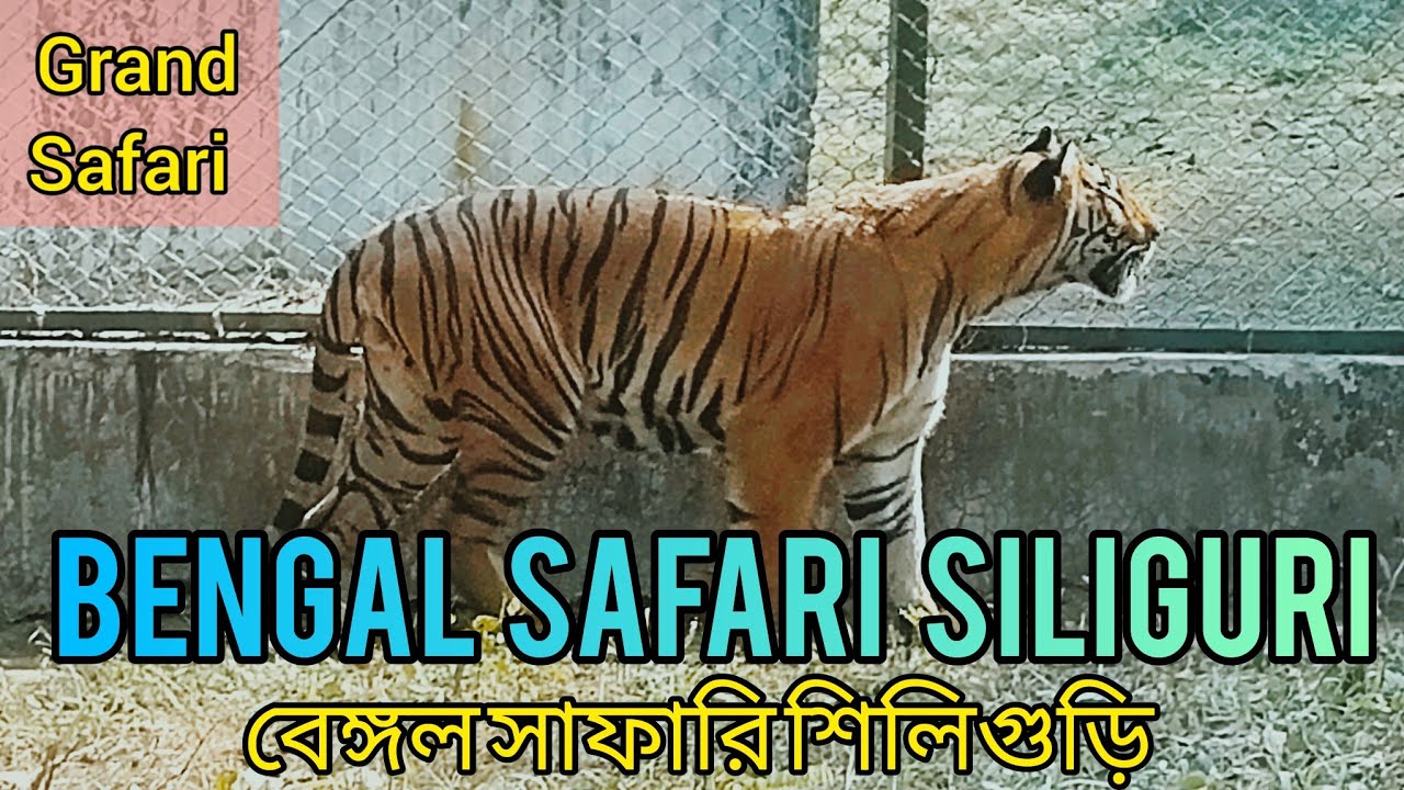 Bengal Safari Siliguri | Bengal Safari | Bengal safari ticket price | Bengal safari grand safari