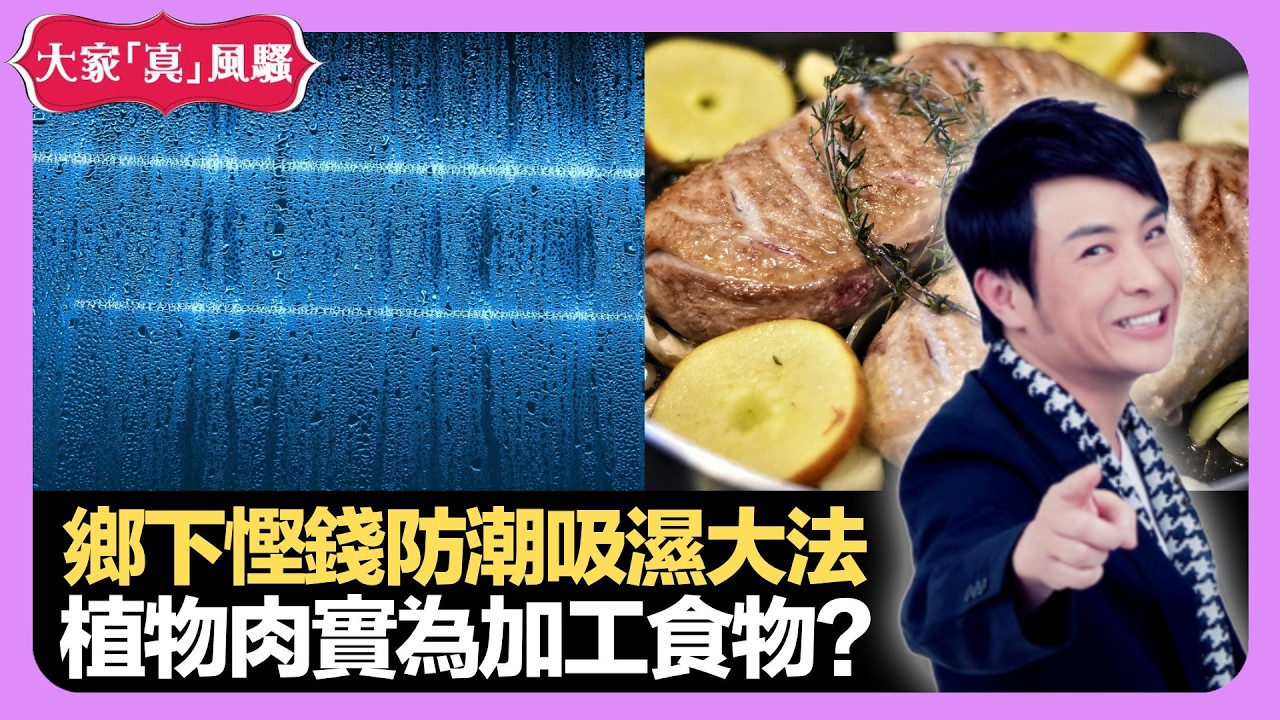 男藝人養一種寵物被抵制 鄉下慳錢防潮吸濕大法 植物肉實為加工食物? - LIVE 大家真瘋Show 梁思浩 韓君婷 李思蓓 20211220 娛樂審死官 4K