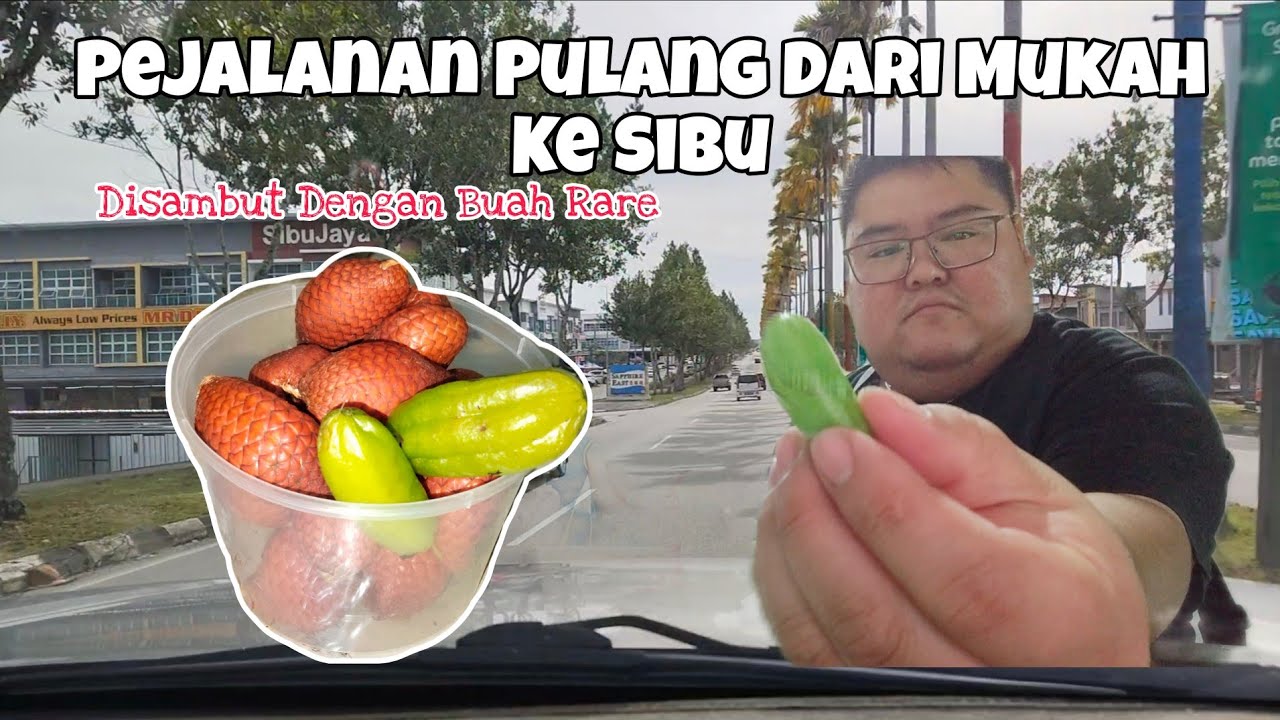 Perjalanan Mukah ke Sibu… Disambut Buah Rare Hanya Ada di Sarawak!