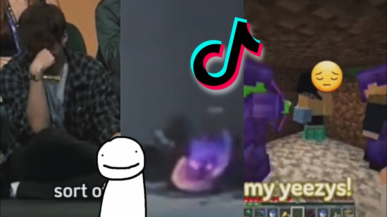 Psst! Bored? Watch these entertaining DSMP TikToks ;D || MCYT TikTok Compilation #35