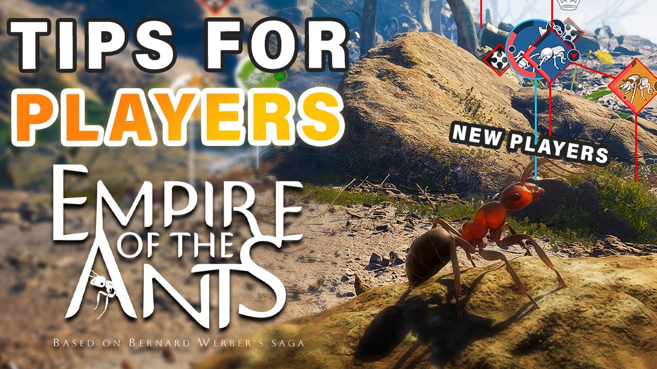 BEST Tips & Tricks for New Players ► Empire of The Ants