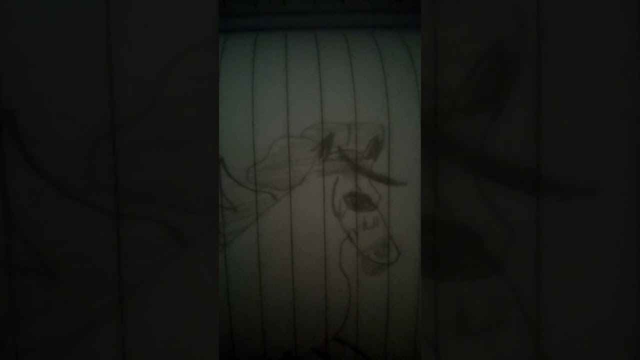 رسم حصان ورسم وجه حصان.... 