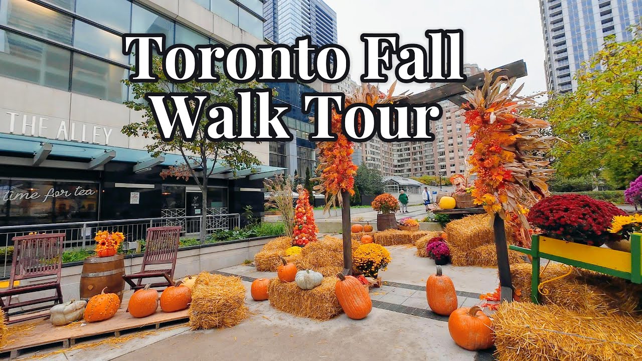 🍁 Toronto Fall Walk Tour 2025 | Exploring Yonge Street&rsquo;s Autumn Vibes in Downtown Toronto 🍂