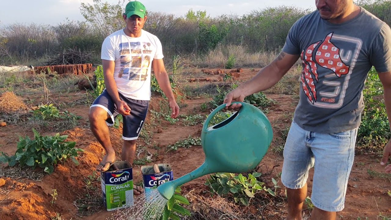 tuor: Regando fruteiras no sitio parte 1 .
