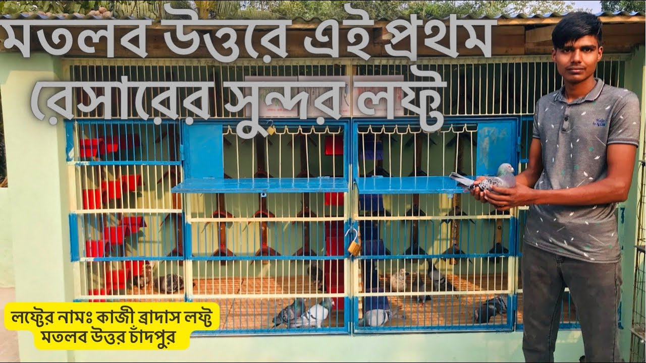মতলব উত্তরে এই প্রথম এতো সুন্দর করে একটি  রেসার কবুতরের জন্য লফ্ট তৈরি করা হলো !