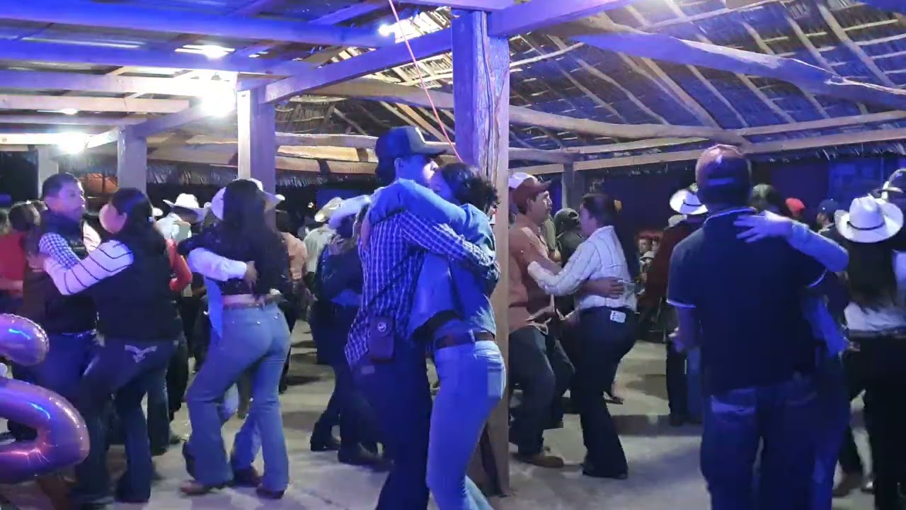 El huapango de los marranitos tecladista jose morales el principe de los teclados ej. El porvenir