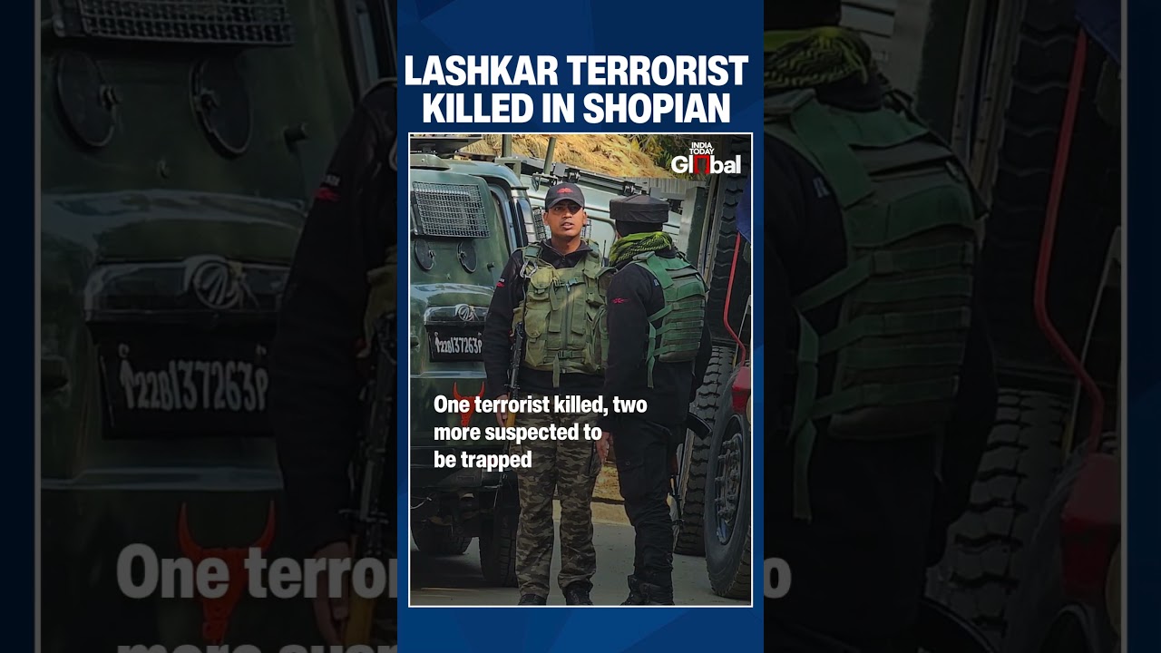 One Terrorist Killed, Two Trapped in Ongoing Shopian Encounter | India News | Kashmir Encounter