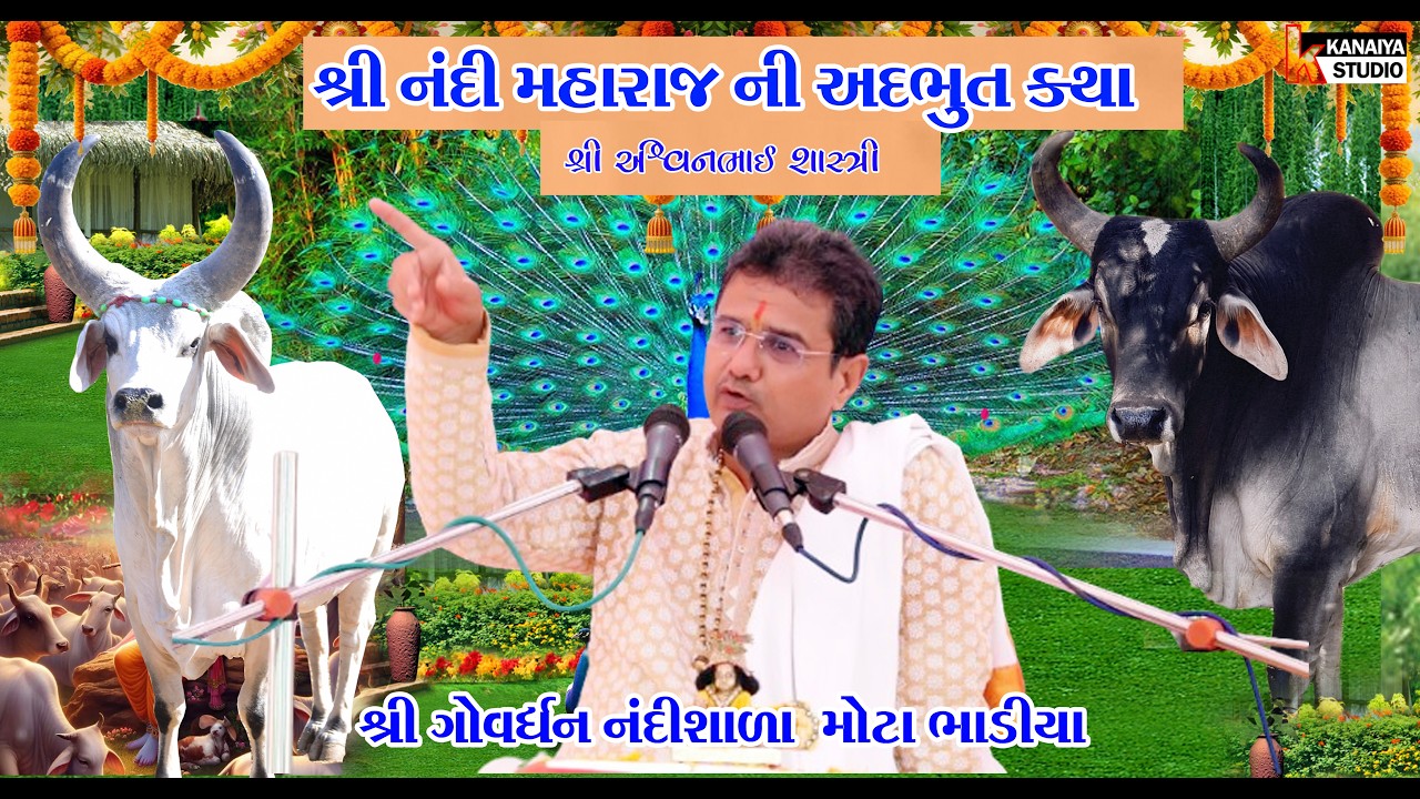 શ્રી ગોવર્ધન નંદીશાળા શ્રી મોટા ભાડિયા  શ્રી નદી મહારાજ ની કથા   શ્રી અશ્વિનકુમાર KANAIYA STUDIO