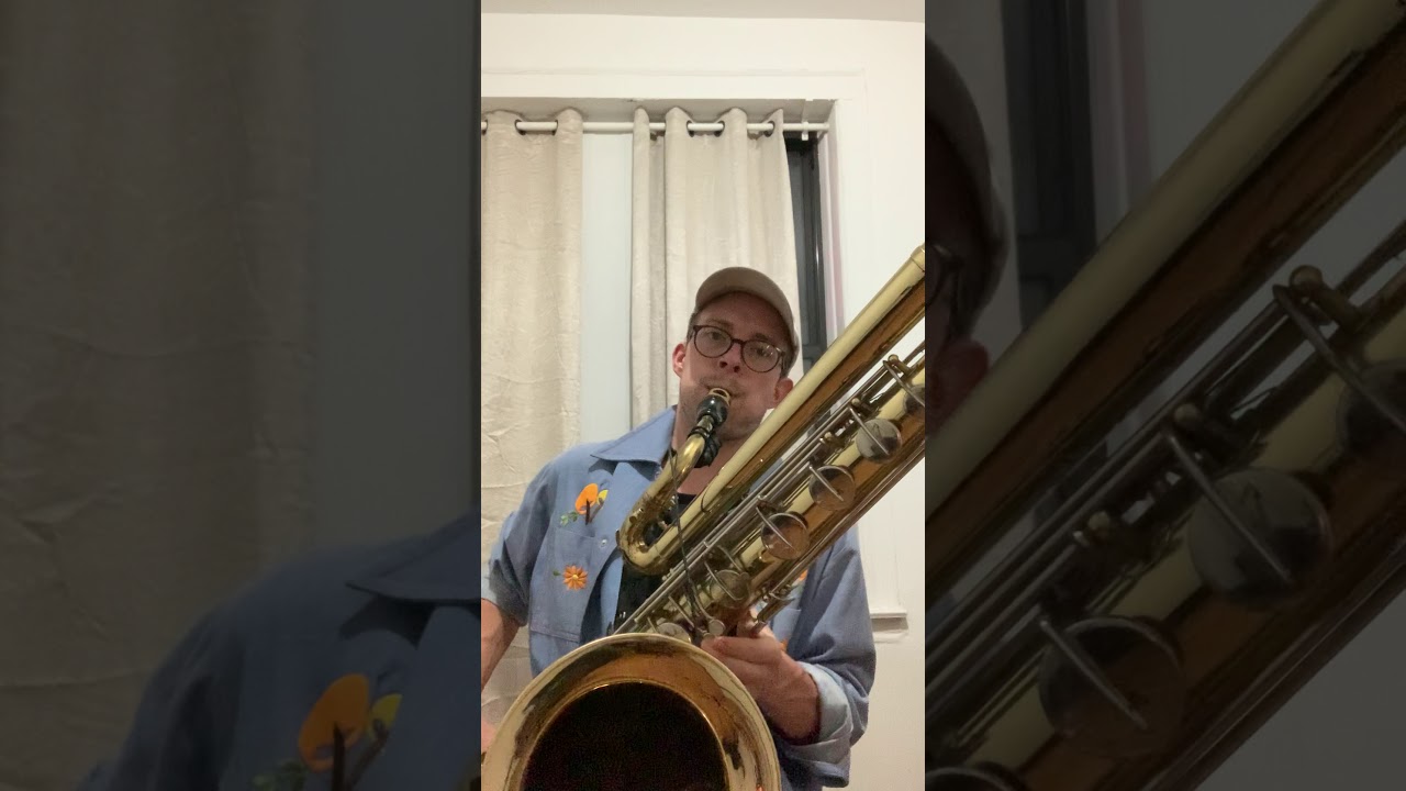 Stardust (Solo Bass Saxophone)