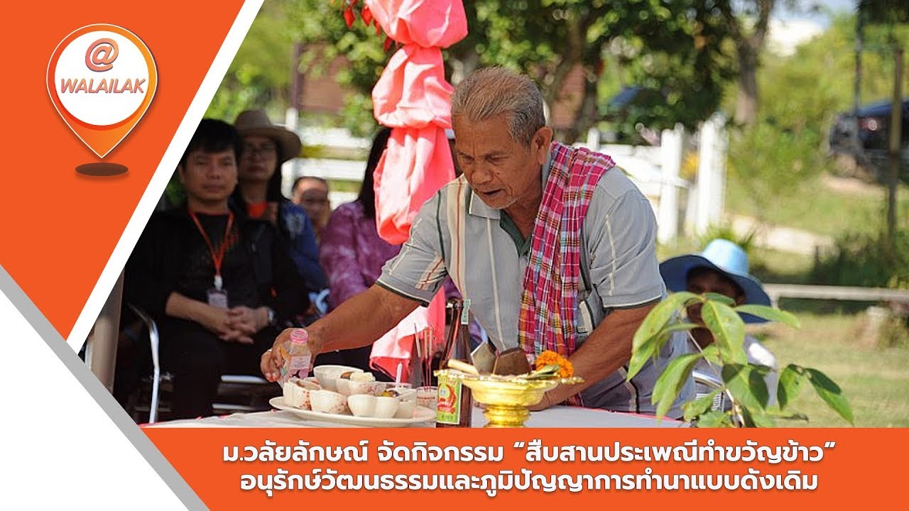 ม.วลัยลักษณ์ จัดกิจกรรม “สืบสานประเพณีทำขวัญข้าว” อนุรักษ์วัฒนธรรมและภูมิปัญญาการทำนาแบบดั้งเดิม