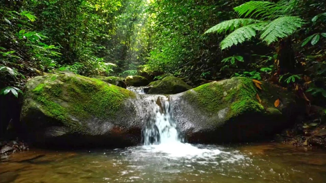 NATURAL WATER RIVER ASMR | CALMING WATER SOUNDS TO REDUCE STRESS AND IMPROVE SLEEP