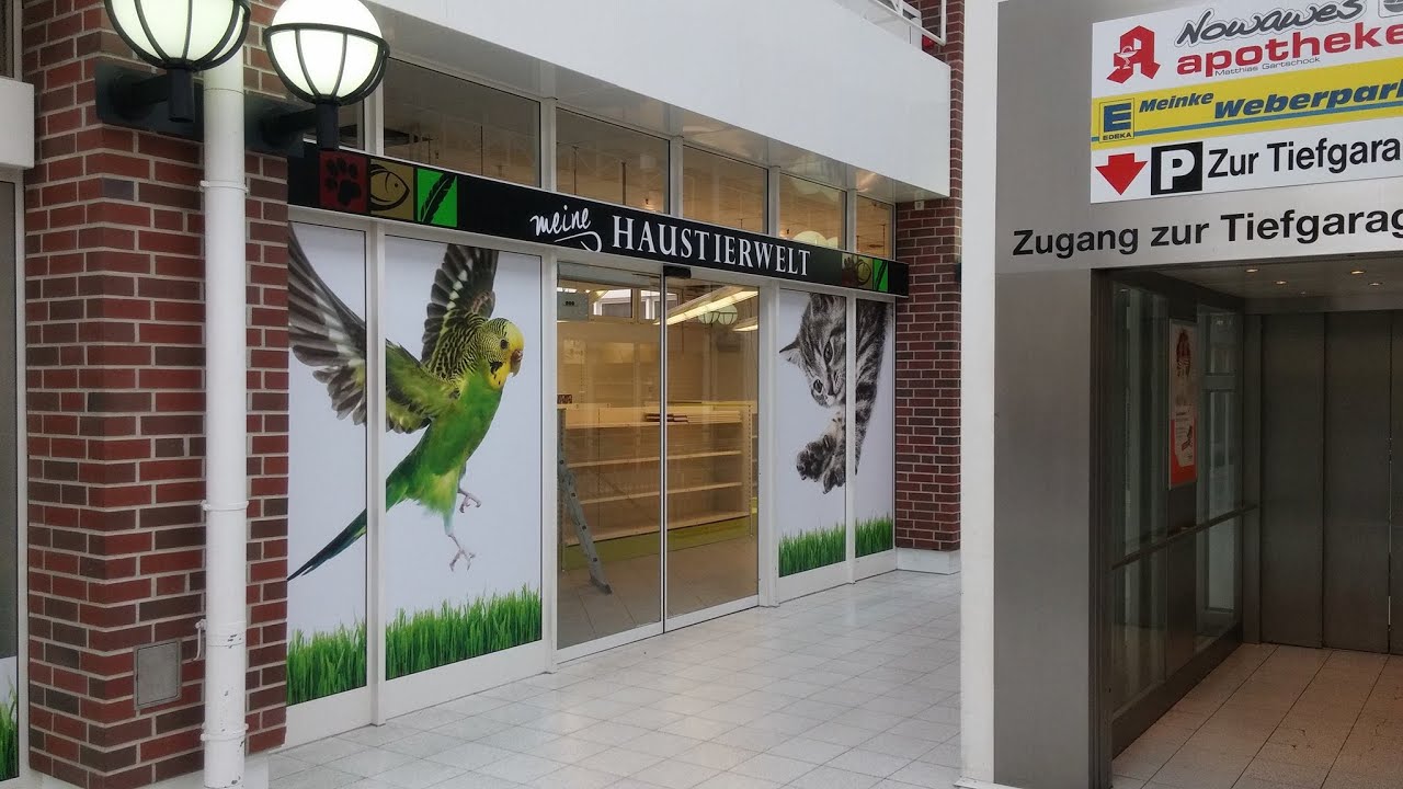 Maximilian Schulz &uuml;ber die Entstehung von Meine Haustierwelt