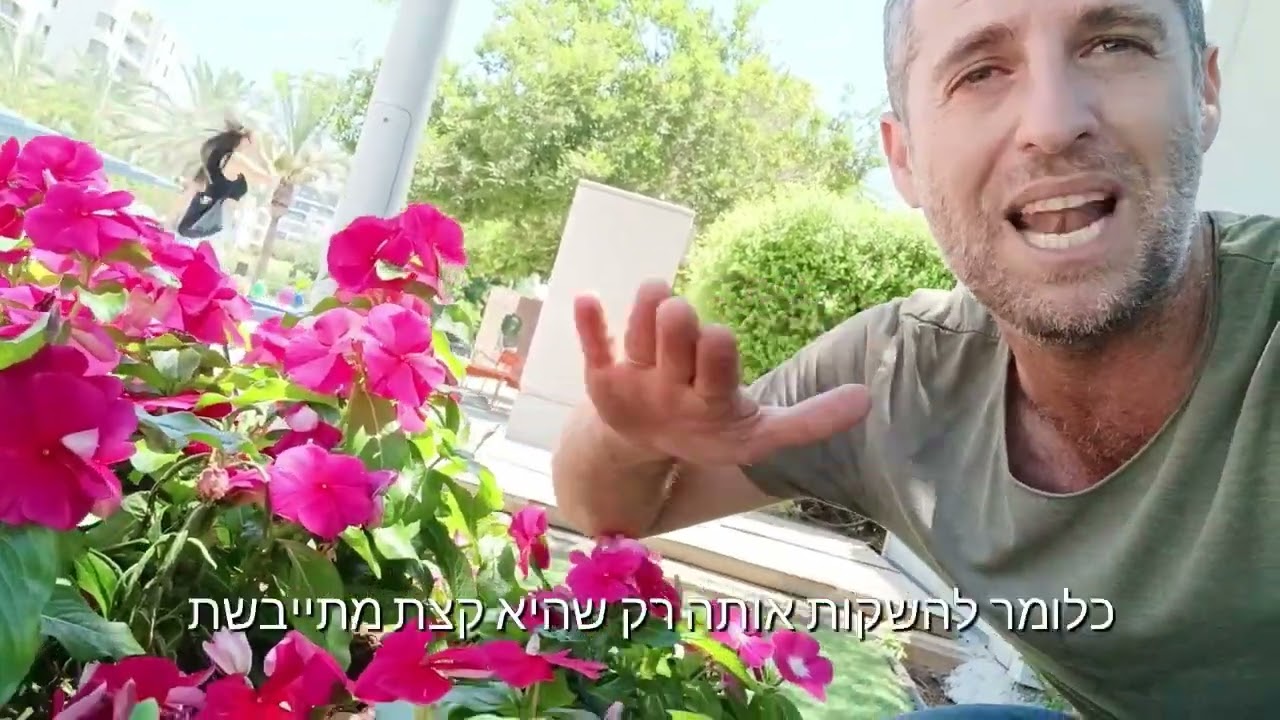 וינקה עונתית פורחת היא פתרון נכון לקיץ הישראלי