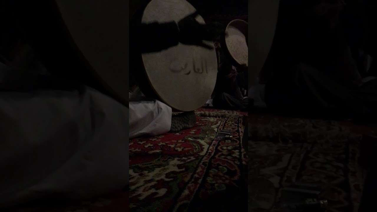 علي زيد