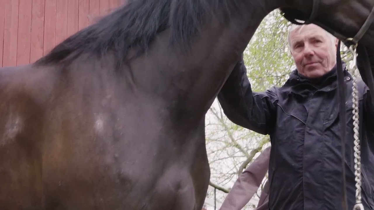 Thor Borg og Dandelion Bonanza klare etter fjorårets skade