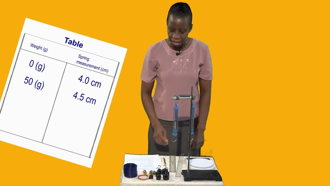 Science The Effects of Different Masses on the Extension of a Spring Gr9
