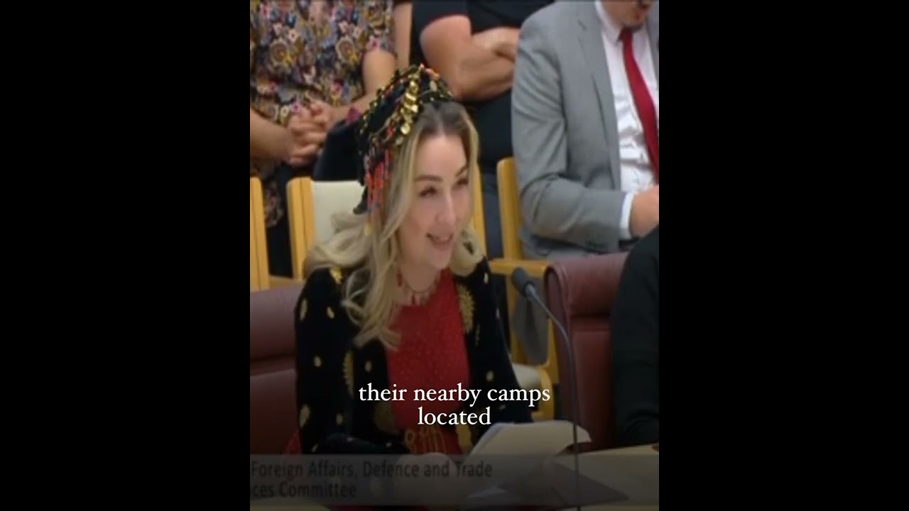 Statement on Kurdistan to Senate Hearing into Iran