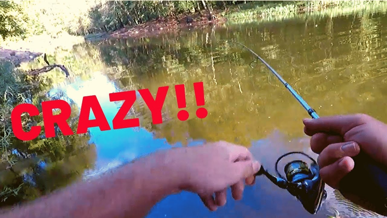 RIDICULOUS Catch while River Fishing (first Kentucky Video)