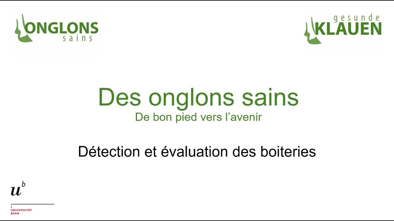 Détection et évaluation des boiteries