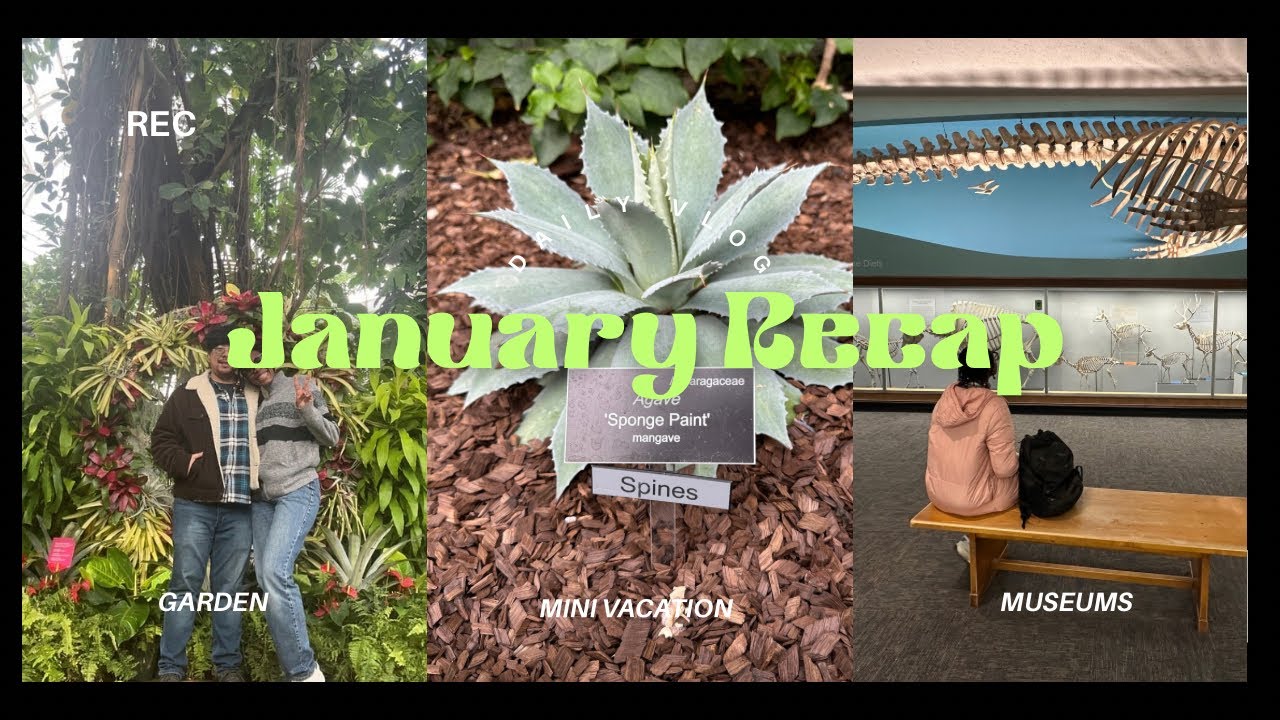 Life in My Late Twenties | Winter Blues,visiting the Smithsonian, Learning how to Rest