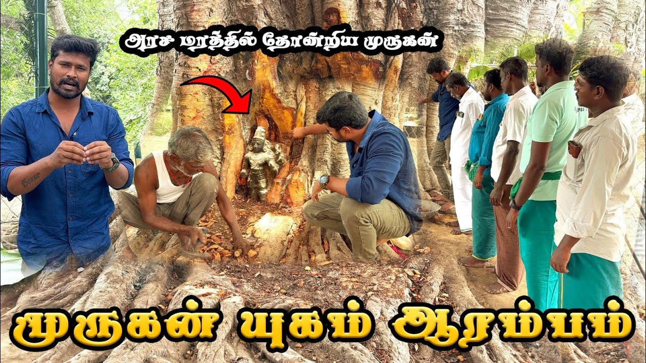 😱😳❤️🙏🦚முருகன் யுகம் ஆரம்பம் இதுதான் ஆதாரம் பல ஆண்டுகள் கழித்து அரச மரத்தில் இருந்து வெளியே வந்த. ..