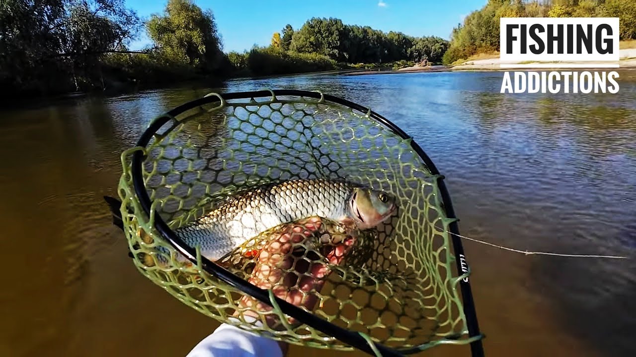 Головень на оберталку Smith AR Spinner Trout Model. Чудова осіння річка.