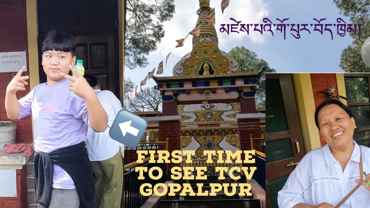 MY SON | EXCITING TO SEE TCV GOPALPUR | @tsengo vlogs | TIBETAN YOUTUBER | TIBETAN VLOGGER