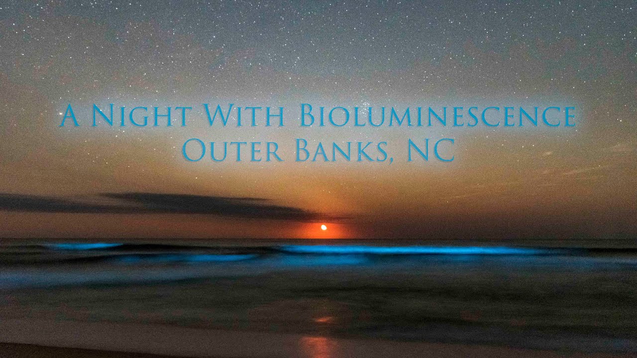 A Night With Bioluminescence - Outer Banks NC OBX - Wes Snyder Photography