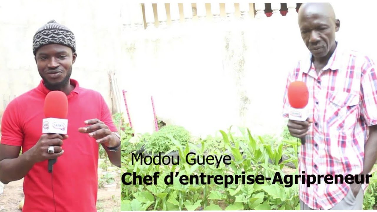 Modou GUEYE chef d'entreprise - Agripreneur est l'invité dans SUNU BUSINESS