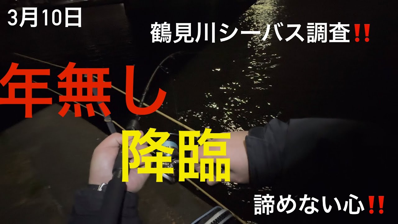 【鶴見川】3月10日鶴見川シーバス調査！年無しチヌ降臨‼️