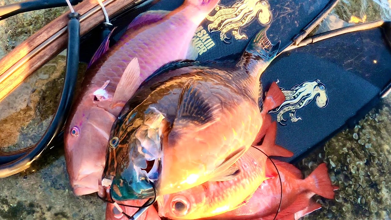 3-prong Spearfishing For Goats, Aweoweo, And More!